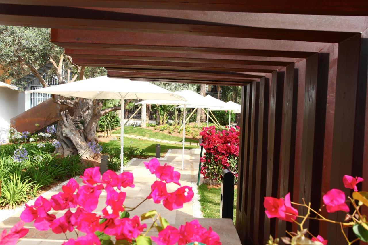 Готель Pure Salt Garonda - Adults Only Плайя-де-Пальма Екстер'єр фото The garden of the hotel